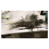 LOT OF ASST. FEATHERS: PEACOCK & PHEASANT
