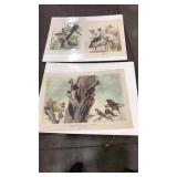 3 ARTHUR SINGER BIRD PRINTS