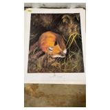 STACK OF 'WARY FOX' PRINTS- SUMMER TIME'