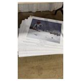 STACK  'WINTER RAPTURE' PRINTS BY FRANKIE PARDOE