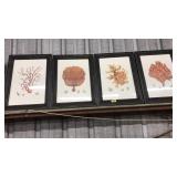4 PC CORAL ART SET