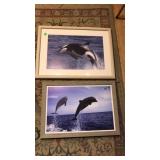 2 FRAMED PRINTS: DOLPHINS & WHALE