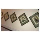 SERIES OF 8 BIRD PRINTS BY A HOEN CO BALTIMORE