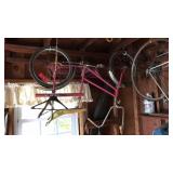 ANTQ. MINI MISS YOUTH BIKE