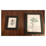 BOTANICAL 2 PC FRAMED ART