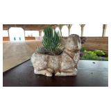 COW PLANTER WITH SUCCULANT