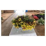 MIXED FLORAL HANGING BASKET