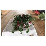 CHENILLE HANGING BASKET
