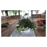 HANGING BASKET MIXED WHITE FLOWERS