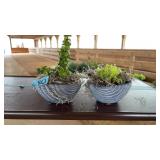 (2) SMALL SEASHELL PLANTERS W/SUCCULANTS