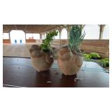 (2) BIRD PLANTERS WITH SUCCULANTS