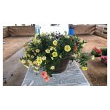 BARREL PLANTER WITH MIXED PETUNIAS