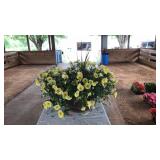 PLANTER WITH YELLOW PETUNIAS
