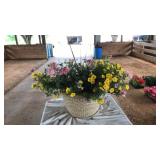 BASKET PLANTER MIXED FLOWERS