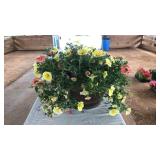 BARREL PLANTER: MIXED FLOWERS