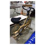 SCHWINN EXCERCISE BIKE