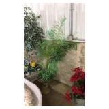 FAUX PALM PLANT