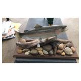 MOUNTED TROUT