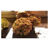(3) GOLDEN MUMS