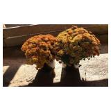 (2) GOLD MUMS