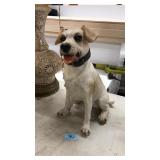 CERAMIC JACK RUSSEL STATUE