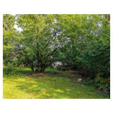 Spacious Wooded Yard
