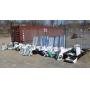 Hydroponic Equipment Auction Ending 4/15