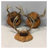 Three Mounted Deer Antlers, All 8 Points