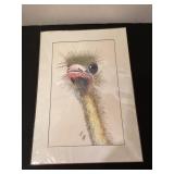14x17' Ostrich Picture by D. Ayre