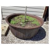 Cast Iron Hog Kettle, 37 1/2' diameter x 16ï¿½