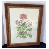 Vintage 'Song Sparrow & Young with Geraniums',