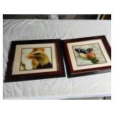 Bird pictures