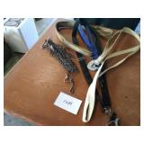 Dog leashes and chain