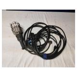 Light and extension cord
