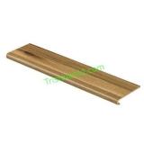 CAP A TREAD STAIR RENEWABLE SYSTEM