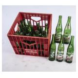 24 Mountain Dew Bottles - Hillbilly & More