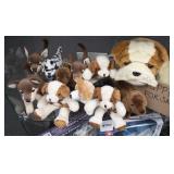 Puppies for Sale!