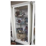 Fantastic Lighted Walk-Around Display Cabinet