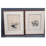 2 Vintage Hand Colored Bird Prints