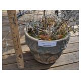 Ceramic Pot With Plant.