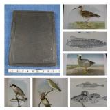 1887 Report Upon Natural Hist. Collections Alaska