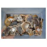 60+ Agate Slices In A Small Plastic Tub.  Beautif.