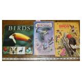 3 Books About Birds And Birding
