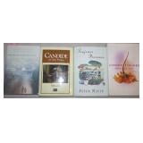 4 Novels - Walking Taylor Home By Brian