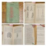 Antique Taxidermy Book 1908 Hc