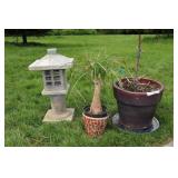 Potted Plants And Garden Pagoda