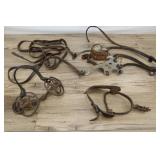 Vintage Horse Bits And Spur.
