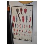 Framed Print Of Pepper Types.