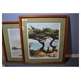 framed photo of ireland, janet van arsdale,  trees