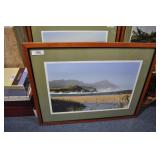 framed photo of ireland, janet van arsdale,  sand